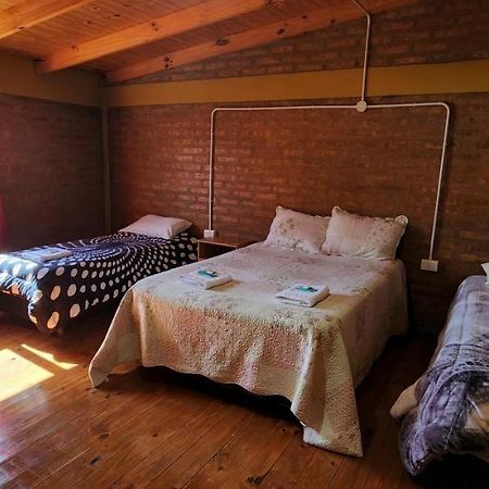 شقة Antartida Argentina 453 Apart, Zapala Dep 1 المظهر الخارجي الصورة